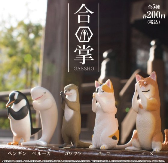 螢幕快照 2018-07-13 下午3.31.50