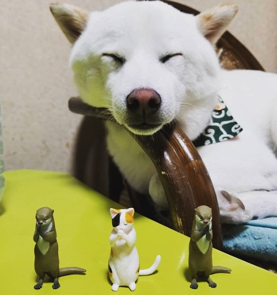 螢幕快照 2018-07-13 下午4.02.19