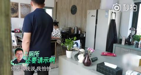 1530784227626sq44rs0n96