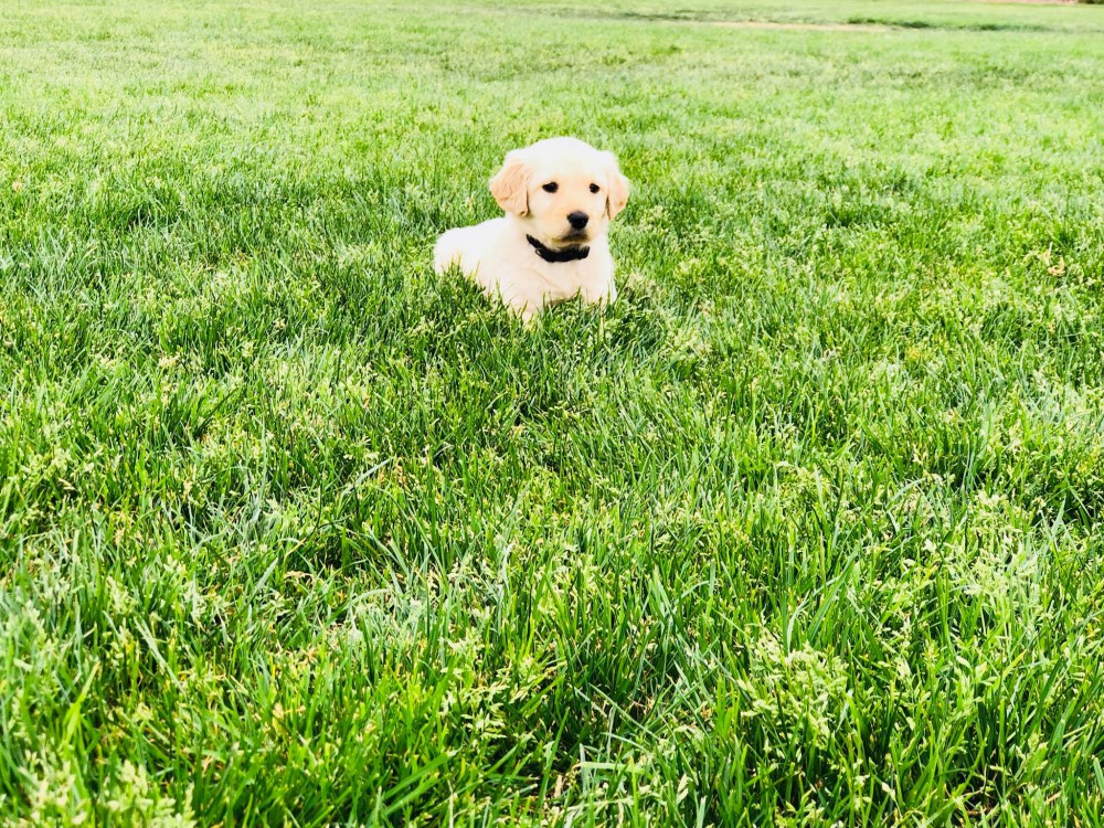 36488245_10215872489787991_731168996178526208_o