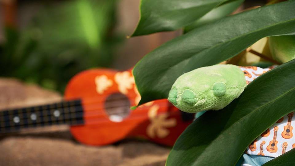 37629947_10156377263628346_9119920168913338368_n