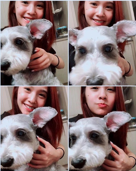 螢幕快照 2018-08-06 上午11.02.31