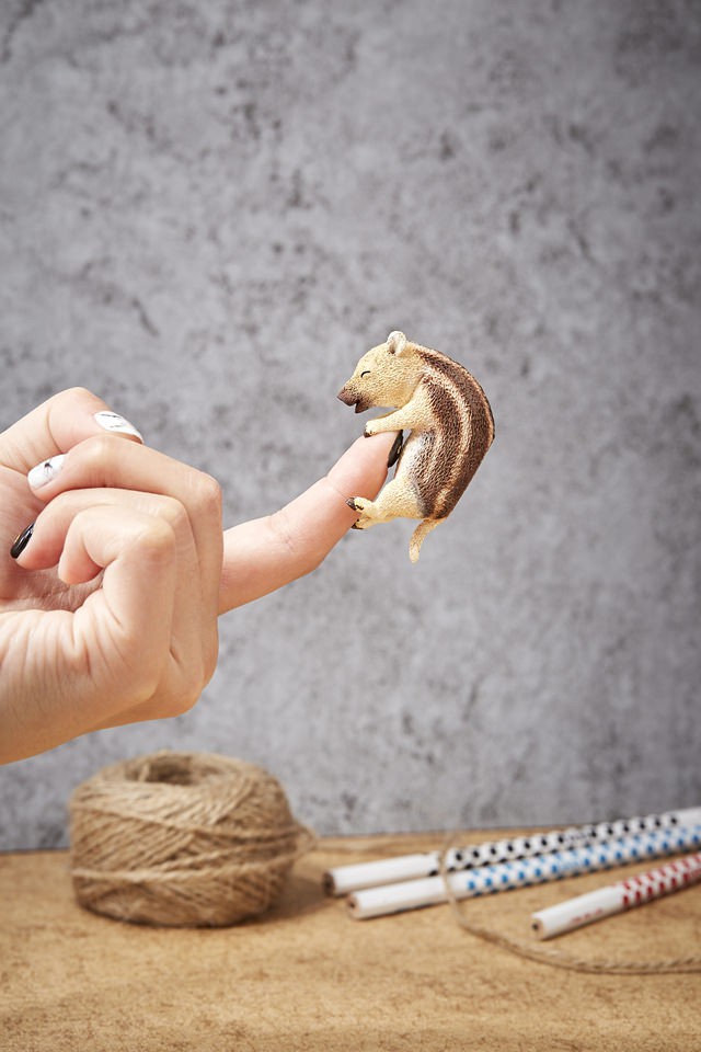 27978328608_3f968fa934_b