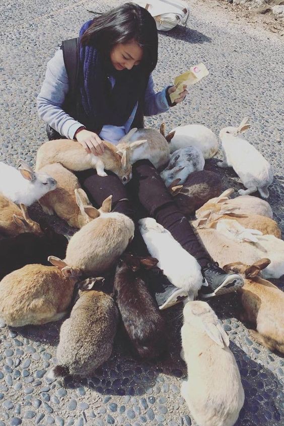 362e1d18f8b1cbb7a315811a6297cb0b