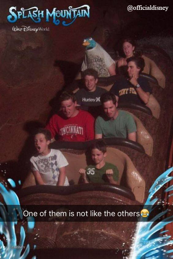 37856397_1834203213299632_7830254361665077248_n