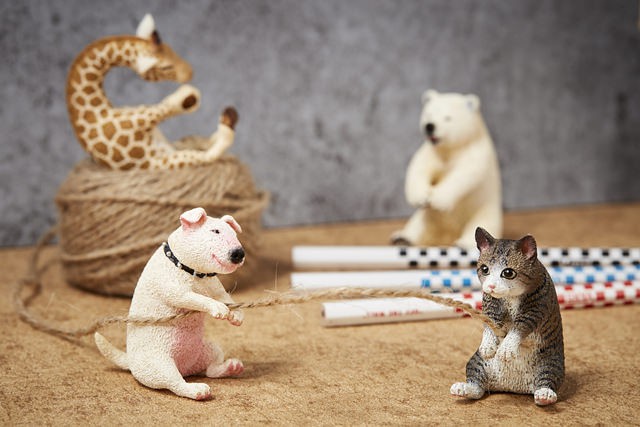 40040193360_00075b06a6_b