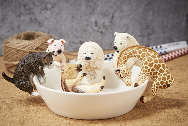 40040194680_541503cce8_b