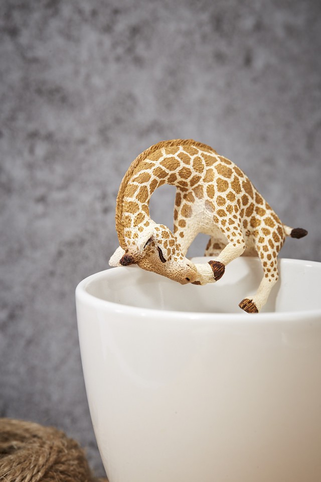 40040202290_d3fec6b48b_b