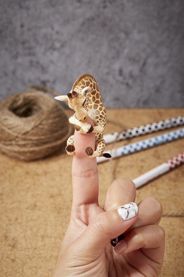 41804416252_e9114e1219_b