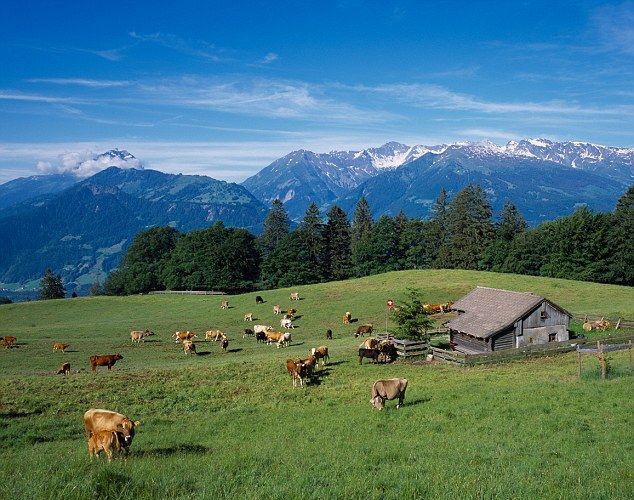 6673004d4c6f1727c460c401f5daa628