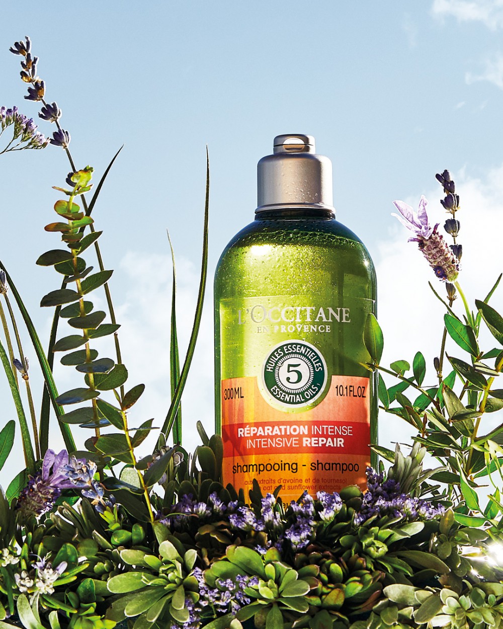 L'OCCITANE