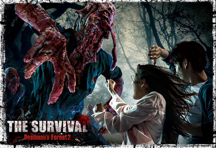 batch____survival_img