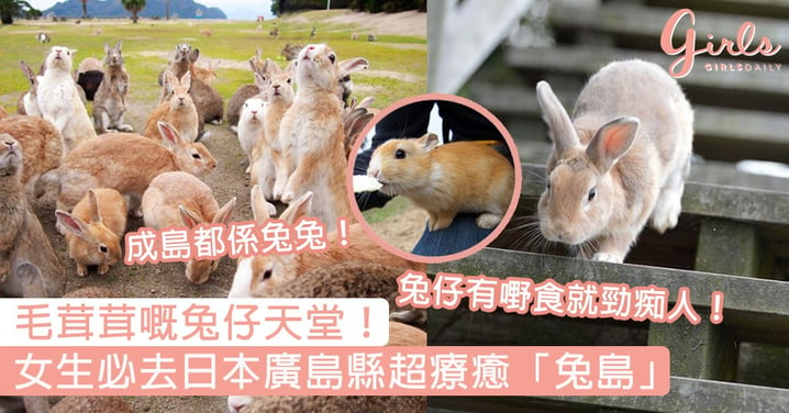 毛茸茸嘅天堂！兔仔控必去日本廣島縣超療癒「兔島」，絕對係全世界最萌的旅遊地！
