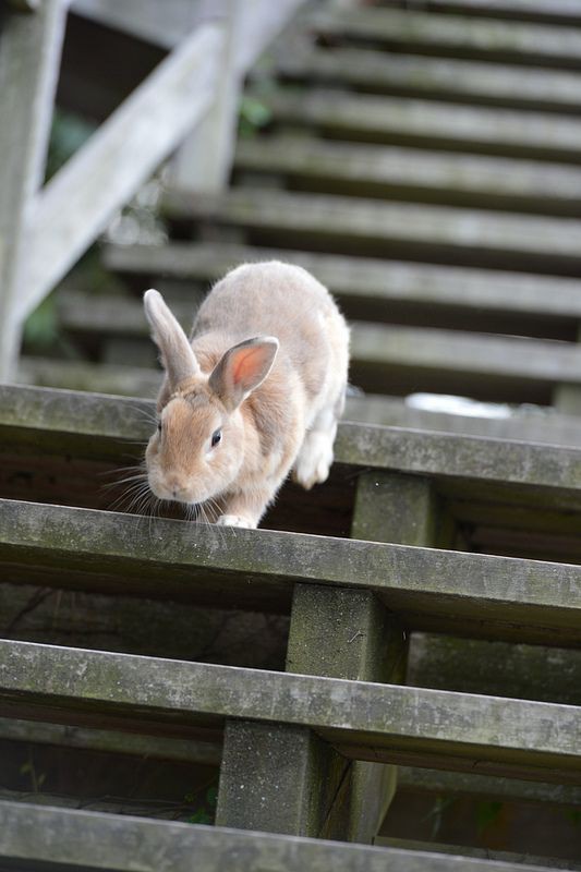 c129b345a7dee0356e0cbe81dc41aa18