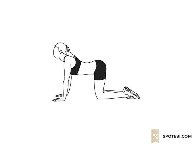 cat-back-stretch-exercise-illustration