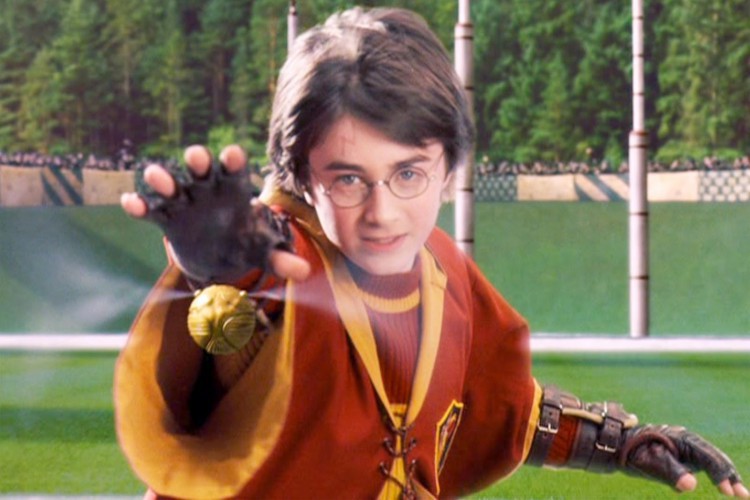 harry-potter-seeker-quidditch