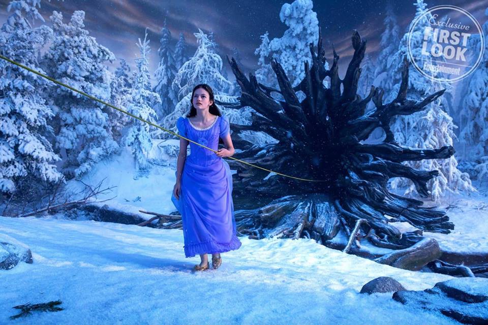 24909713_2010298002587681_6635042974818212000_n