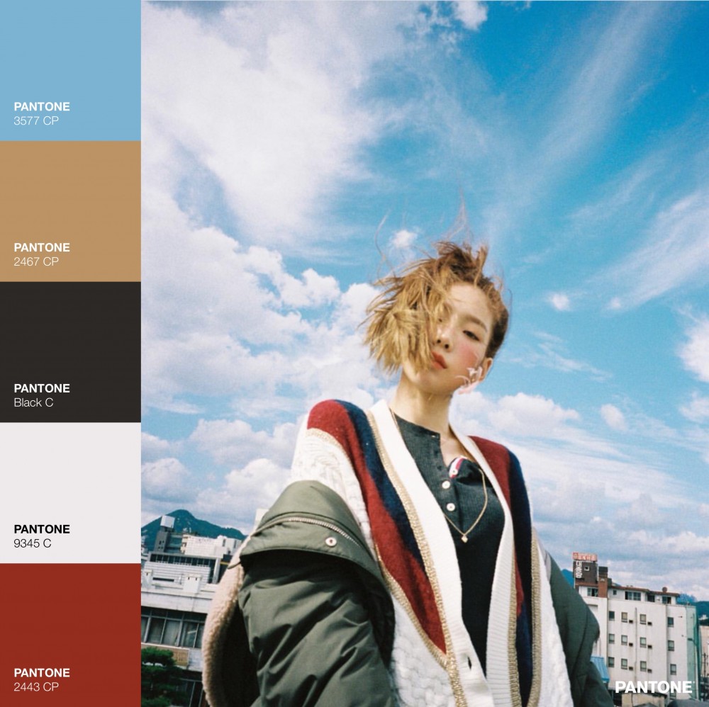 42165842_345103512724875_5595070062756102144_n