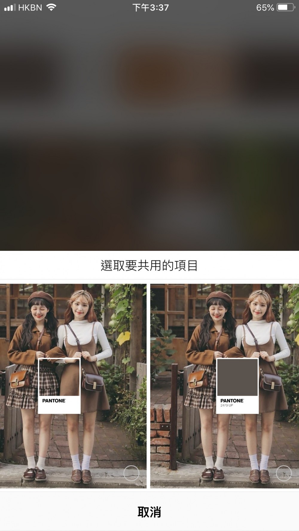 42178404_2225219361041632_6166941560899371008_n