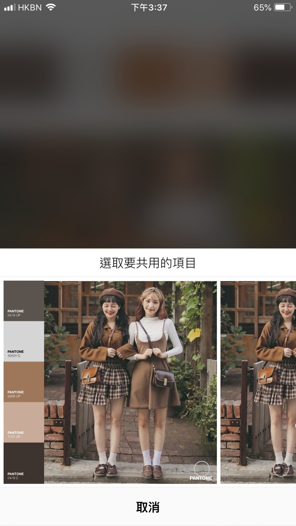 42205990_302574126994002_7543600702367465472_n