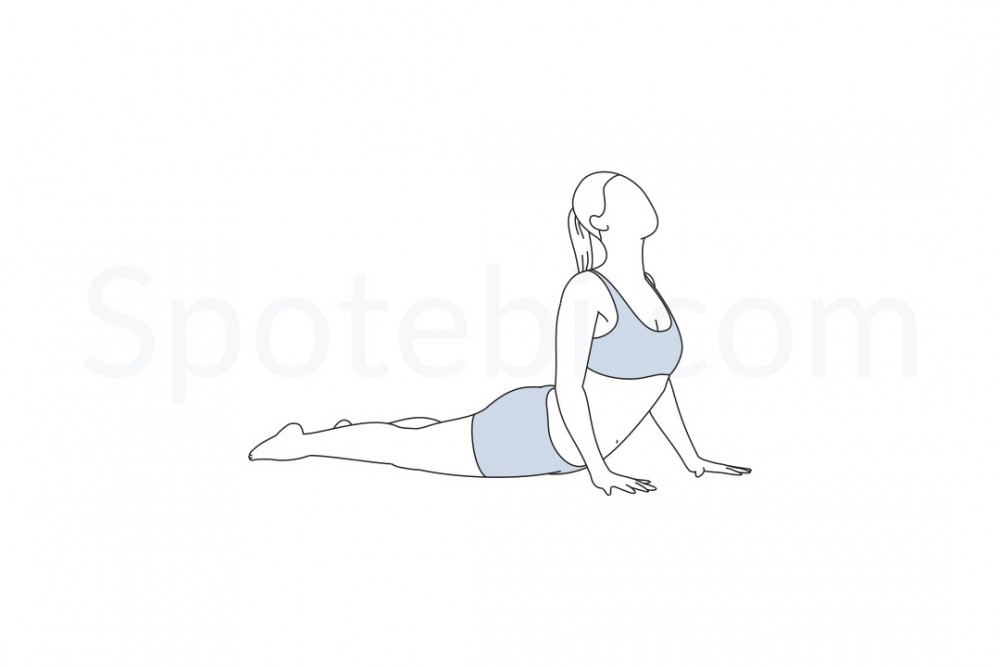 cobra-pose-bhujangasana