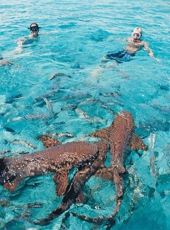 18566a646f61fbfdc041a4f5cd1c7201