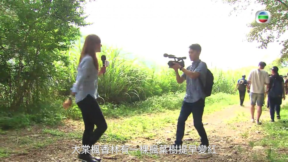 Screen Shot 2018-10-10 at 11.31.33 AM