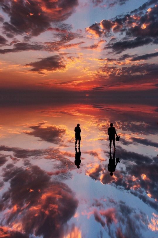 db51980553396fb590347752f4fdd513