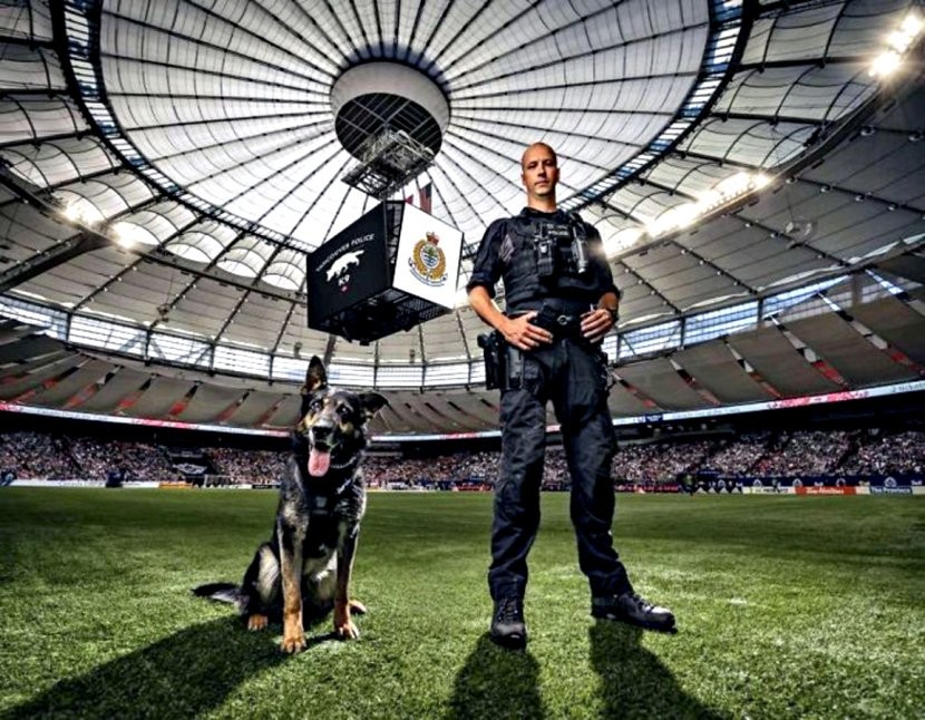 dog_0y8A0pY2SxGDBVd8r4a1ng_Policajn-psy-nafotili-kalend-r