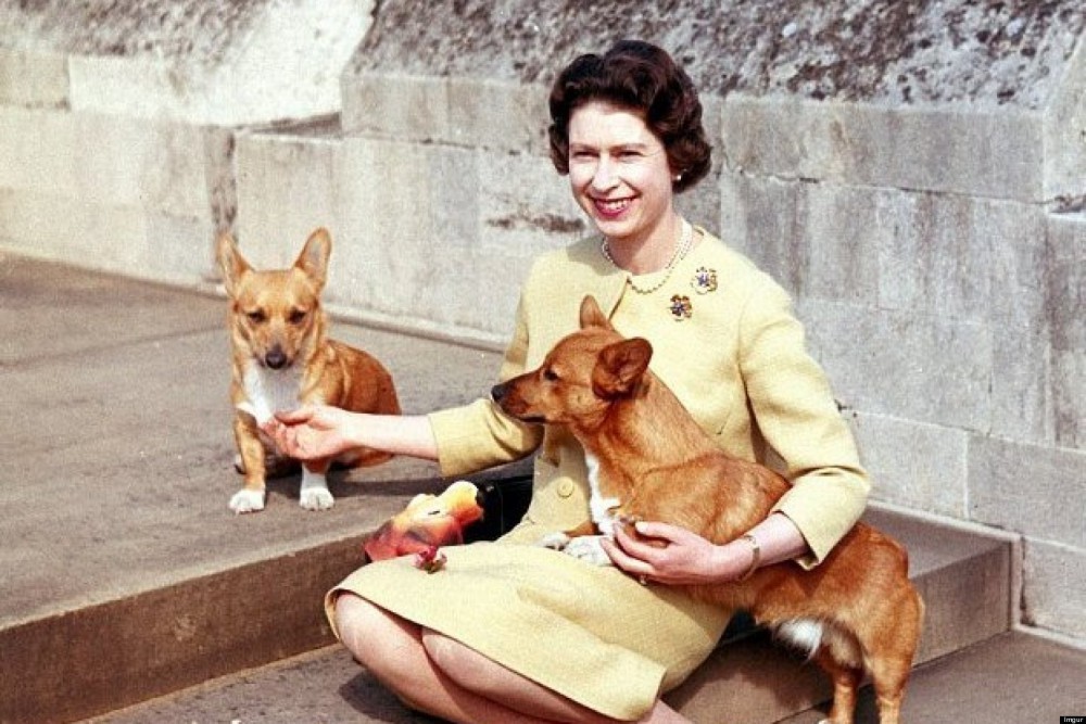 o-THE-QUEENS-CORGIS-PHOTOS-facebook