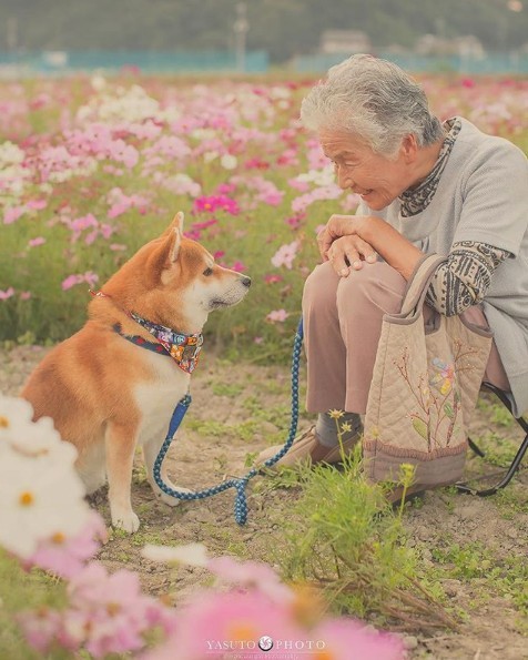 螢幕快照 2018-11-19 上午11.00.05