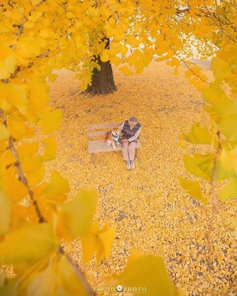 螢幕快照 2018-11-19 上午11.00.23