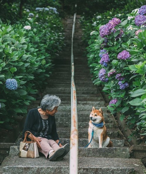 螢幕快照 2018-11-19 上午11.00.41