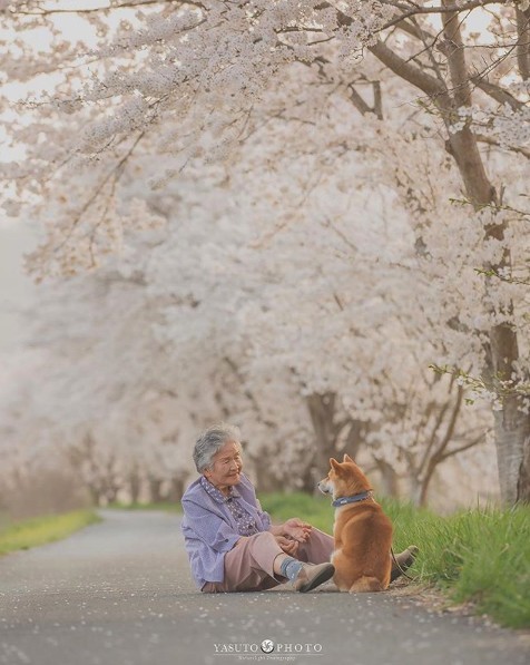 螢幕快照 2018-11-19 上午11.00.50