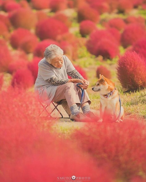 螢幕快照 2018-11-19 上午11.00.59