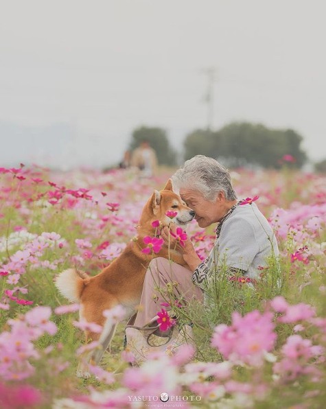 螢幕快照 2018-11-19 上午11.01.11