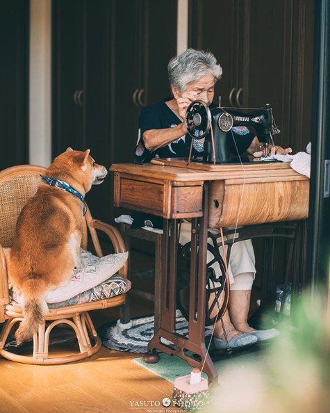 螢幕快照 2018-11-19 上午11.01.54