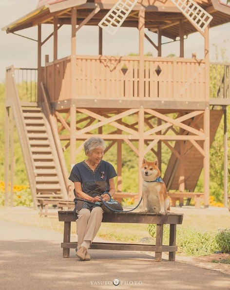 螢幕快照 2018-11-19 上午11.02.32