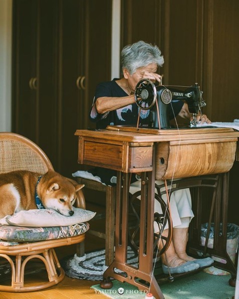 螢幕快照 2018-11-19 上午11.02.42