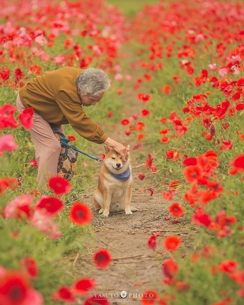 螢幕快照 2018-11-19 上午11.02.59