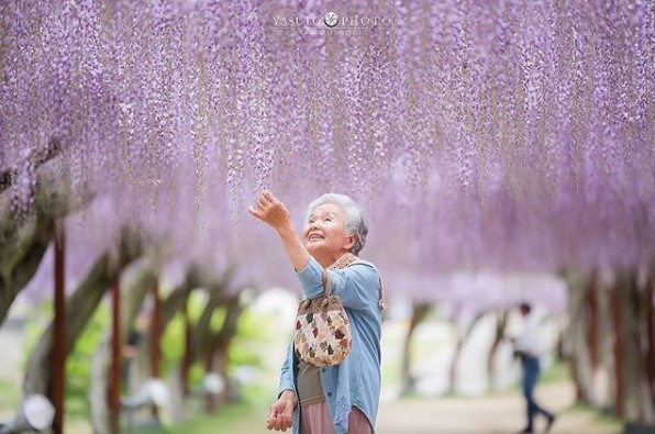 螢幕快照 2018-11-19 上午11.03.06