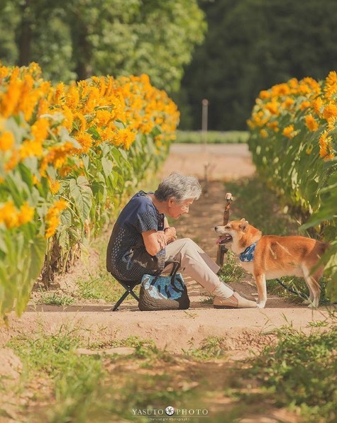 螢幕快照 2018-11-19 上午11.03.23