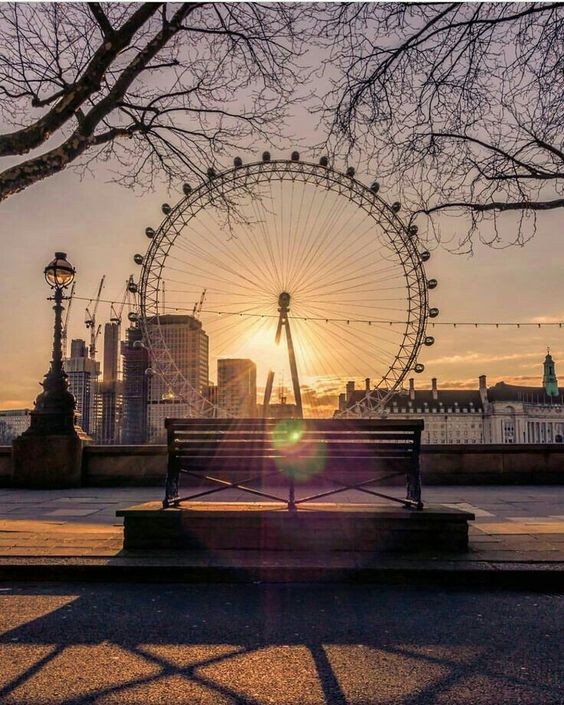 1206404678b34c698f4d588c64a5d4a2