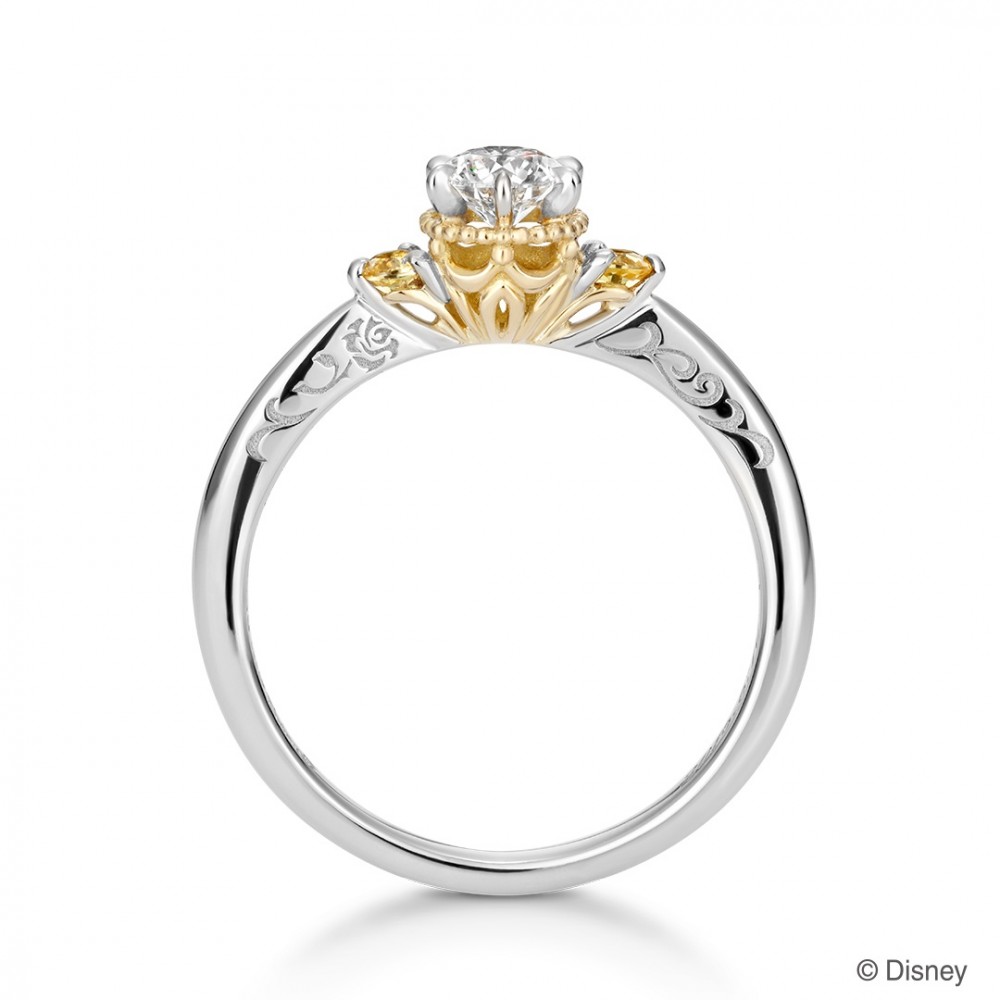 2521_mbqbu7itf1s7npcev1qai78730_main_image