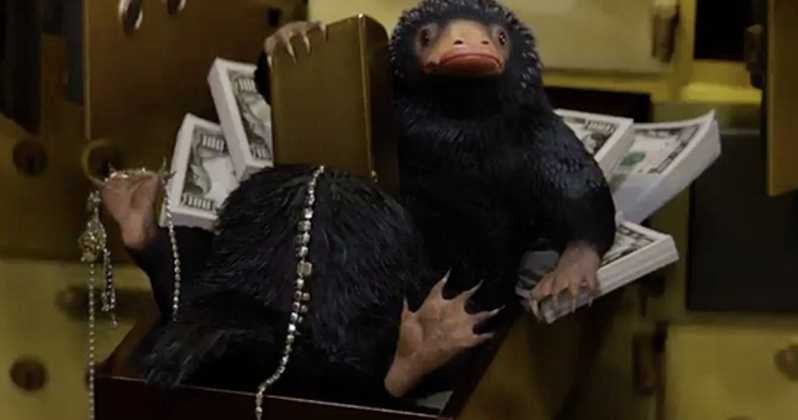 Fantastic-Beasts-Movie-Niffler-Clip