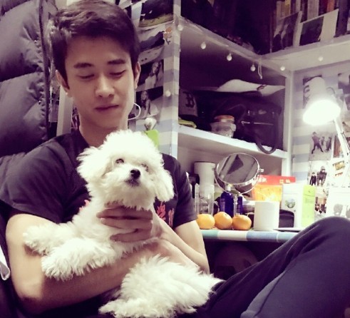 Screen Shot 2018-11-12 at 3.57.36 PM