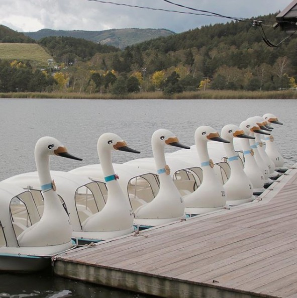 Screen Shot 2018-11-15 at 11.54.23 AM