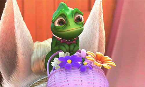 giphy (14)