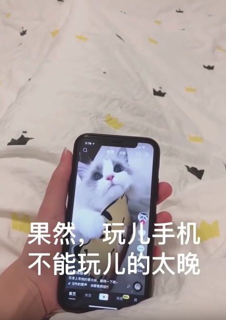 螢幕快照 2018-12-20 下午6.27.16