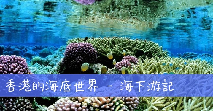 香港的海底世界
